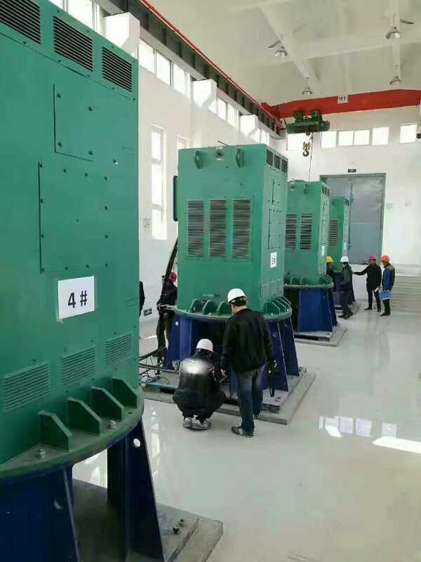 新蔡某污水处理厂使用我厂的立式高压电机安装现场